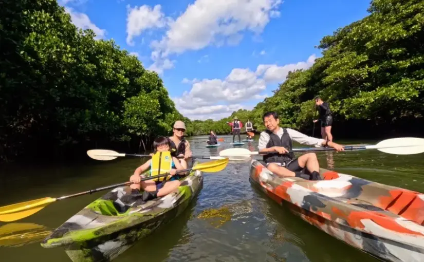 マングローブ　カヌー
