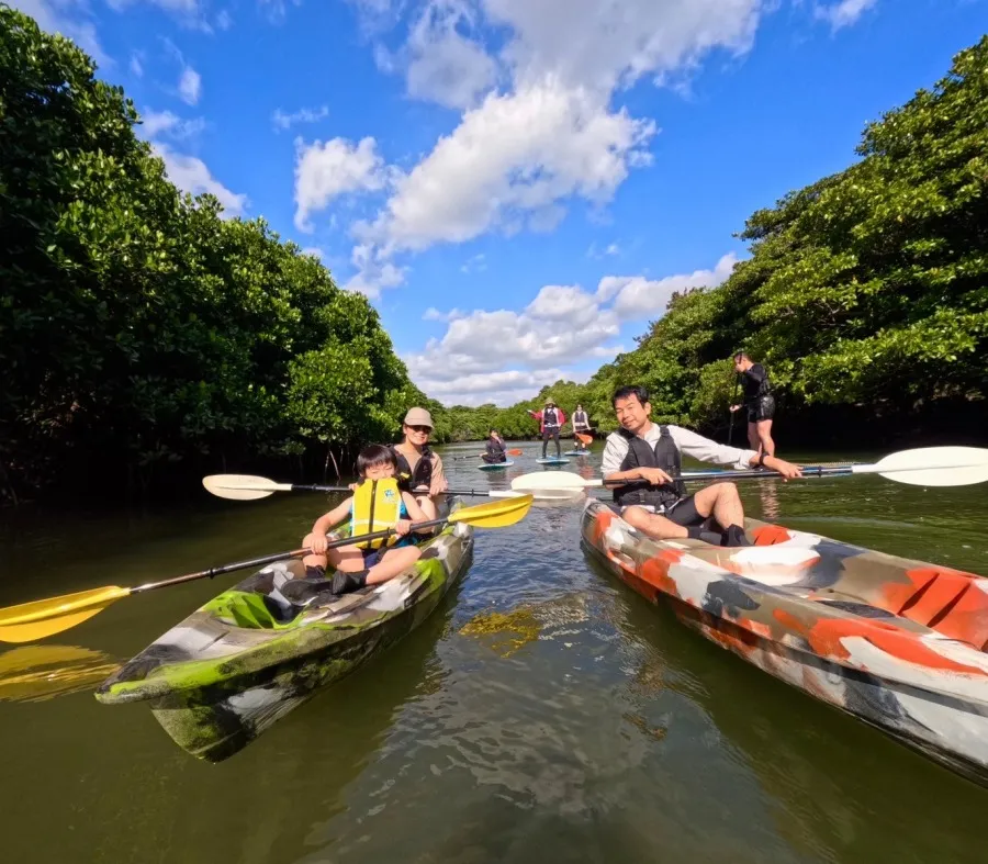 マングローブ　カヌー