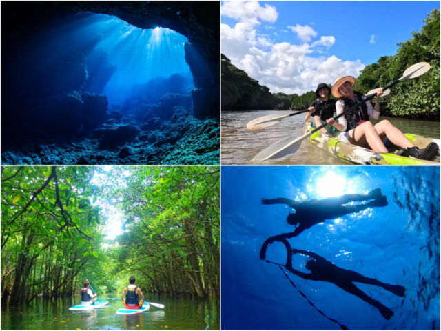 青の洞窟 マングローブ