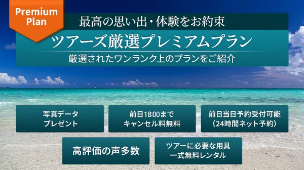プレミアムプラン