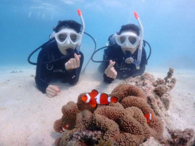 石垣島でウミガメに会える！幻の島＆青の洞窟シュノーケリングスポット完全ガイド