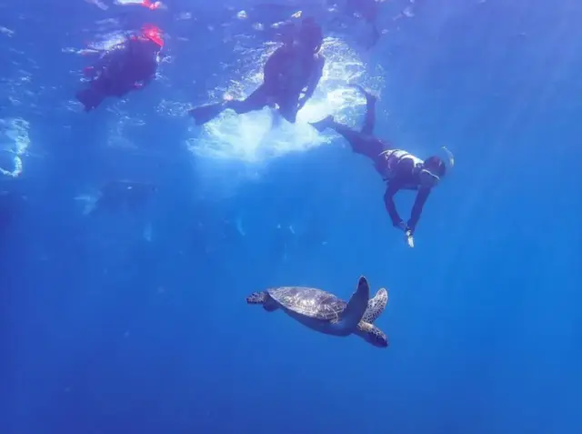 石垣島・青の洞窟アクティビティツアーまとめ！大人気シュノーケリングツアーやセットプランの魅力も紹介