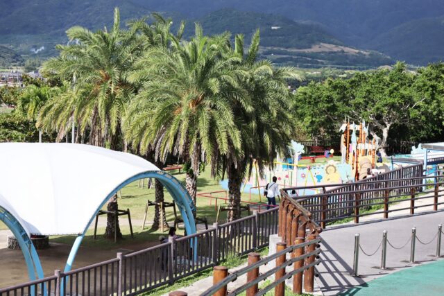 石垣島のヤシの木が並ぶバンナ公園