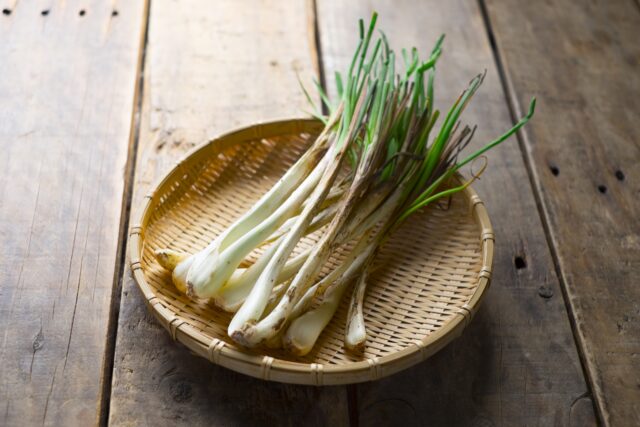 石垣島で楽しむ郷土食材