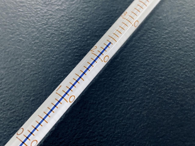 石垣島の海でのシュノーケリング時の水温を計測する様子。